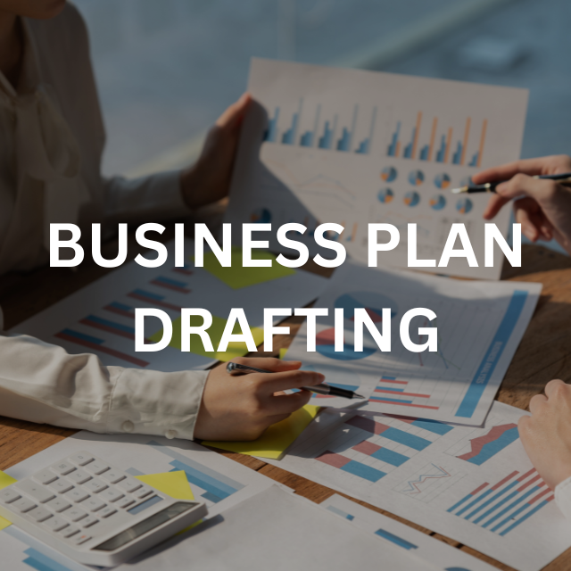 Business Plan Drafting